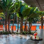 tropical resort pool & lounges chairs