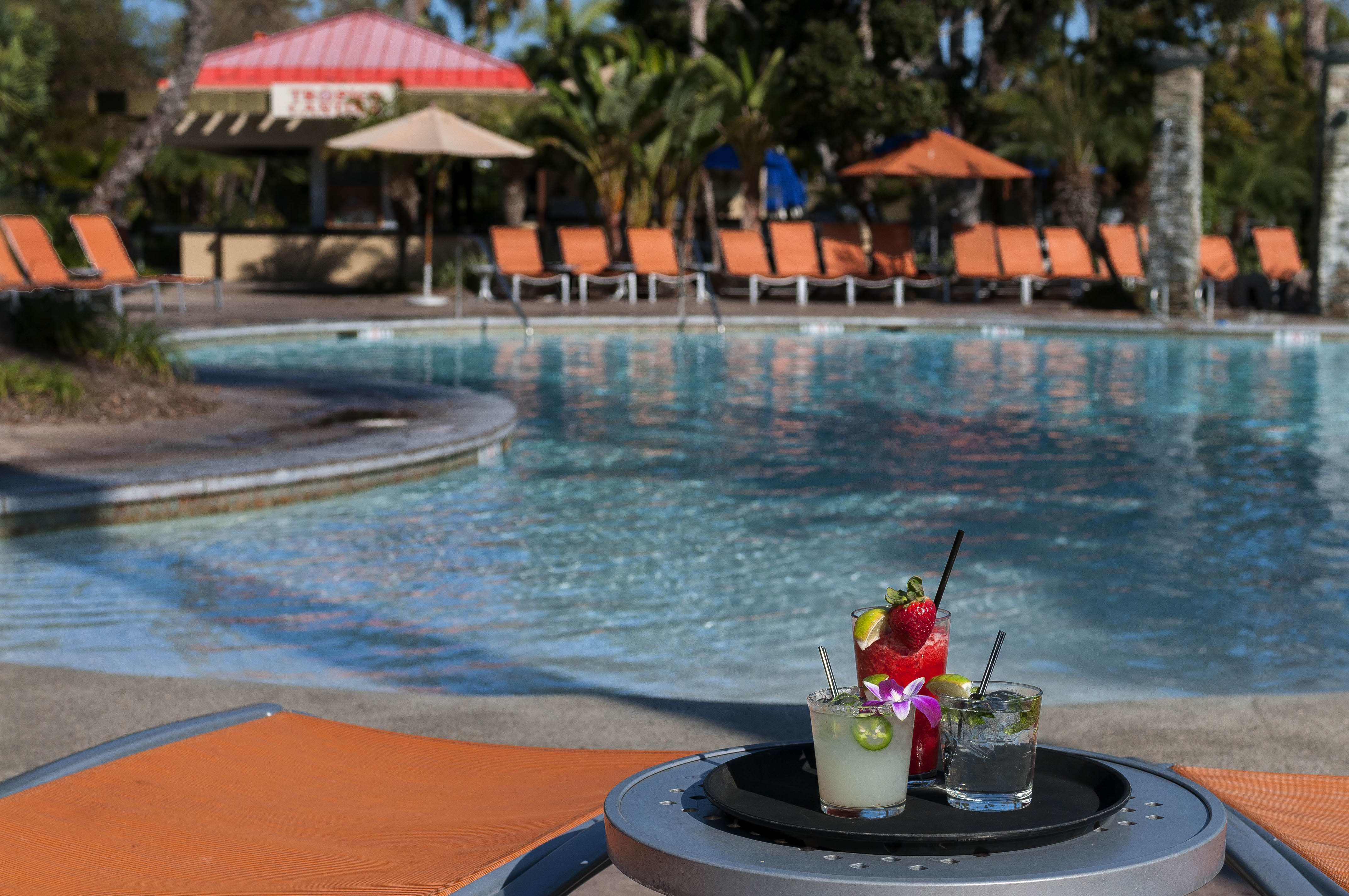 Paradise Point Paradise Point