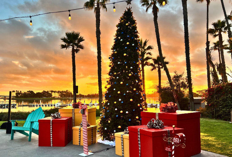 Holiday Events & Activities