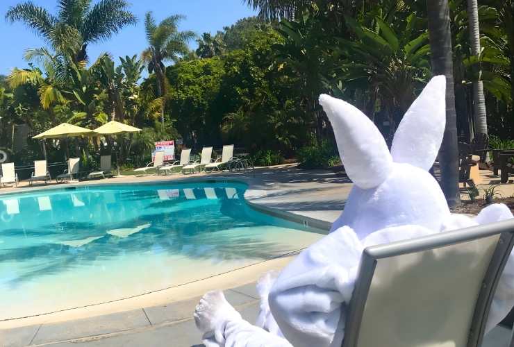 Easter Weekend Activities