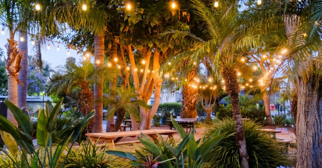 picnic setting with market lighting